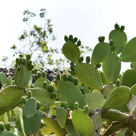 Hotel La Fucina Di Vulcano 3*