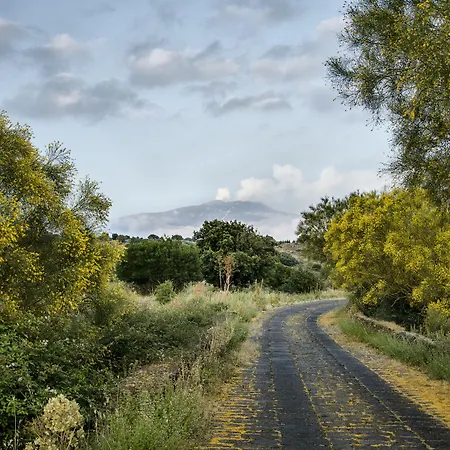 La Fucina Di Vulcano Bronte